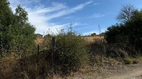 Foto 3 de Terreno en venta en Arcos de la Frontera, Cádiz