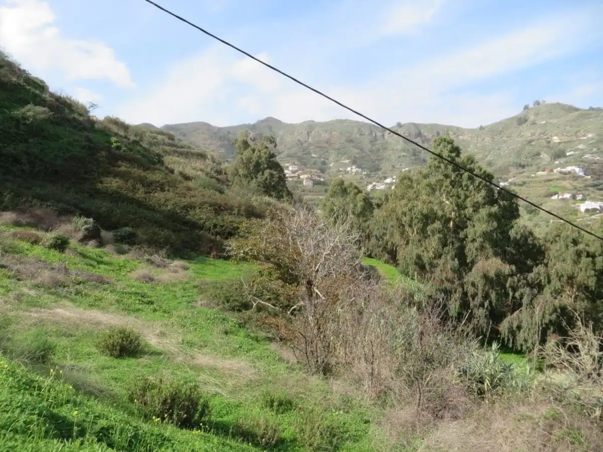 Exterior view of Land for sale in Teror