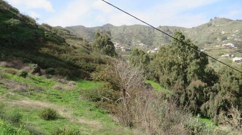 Foto 3 de Terreno en venta en El Álamo - Arbejales, Teror