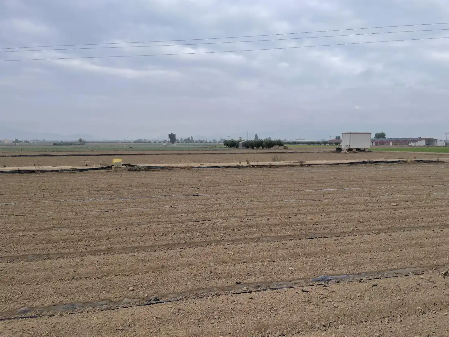 Lands and plots for sale in de Bodega, imagen 3