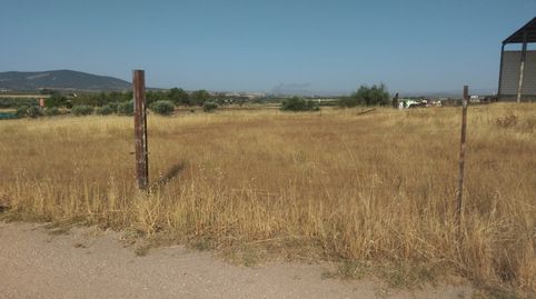 GRANJA GANADERA EN LA HABA, immagine 4
