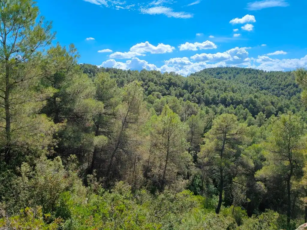 Rural land for sale in Horta de Sant Joan, imagen 8