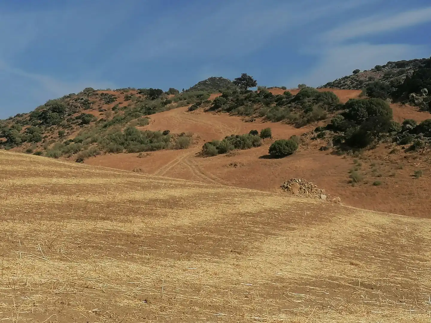 Terreno en venta en Ardales