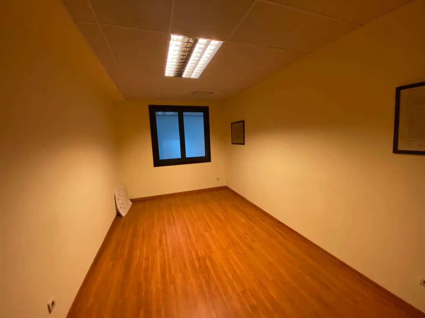 Oficina con terraza en alquiler en Avenida de Madrid, imagen 24
