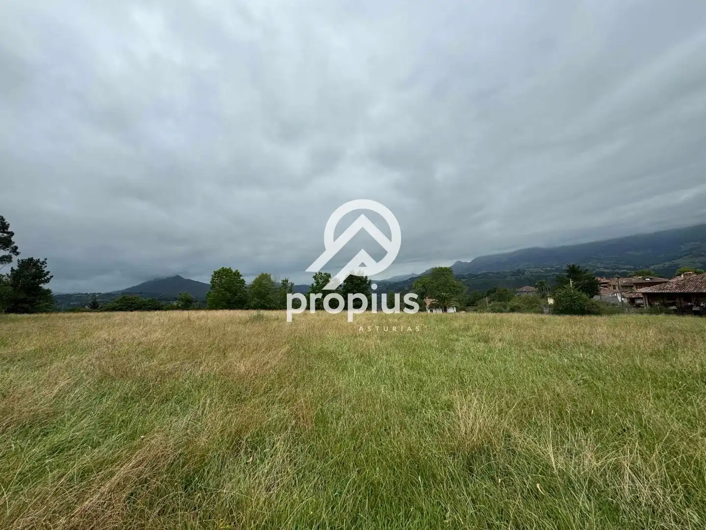 Rural land for sale in Arenas, imagen 31
