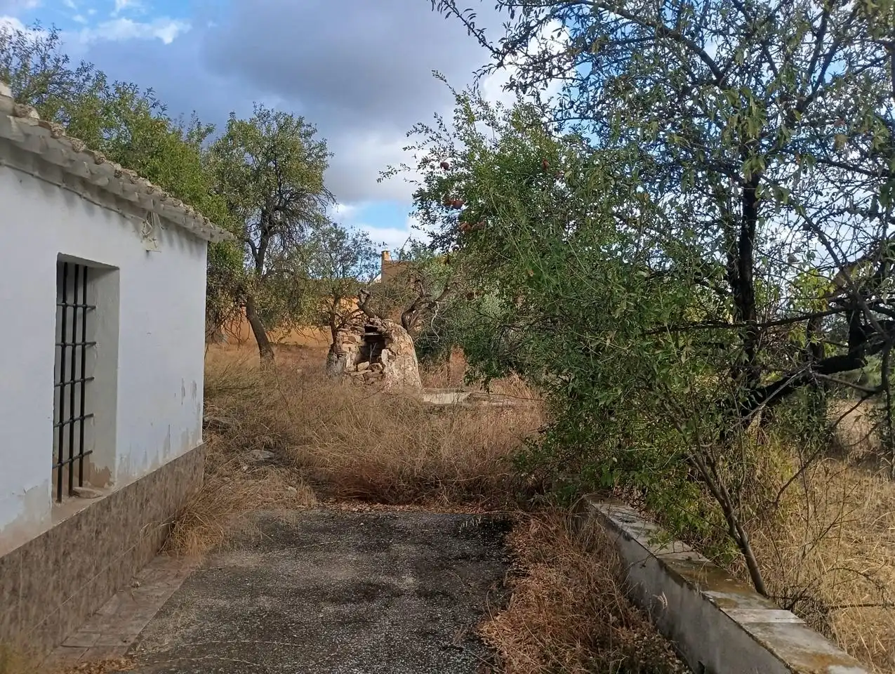 Finca rústica en venda en Bédar amb Jardí privat i Terrassa