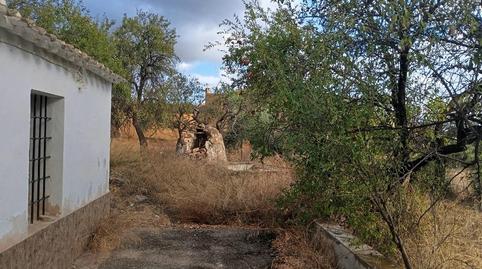 Foto 5 de Finca rústica en venda a Barriada Los Pinos, Bédar, Almería