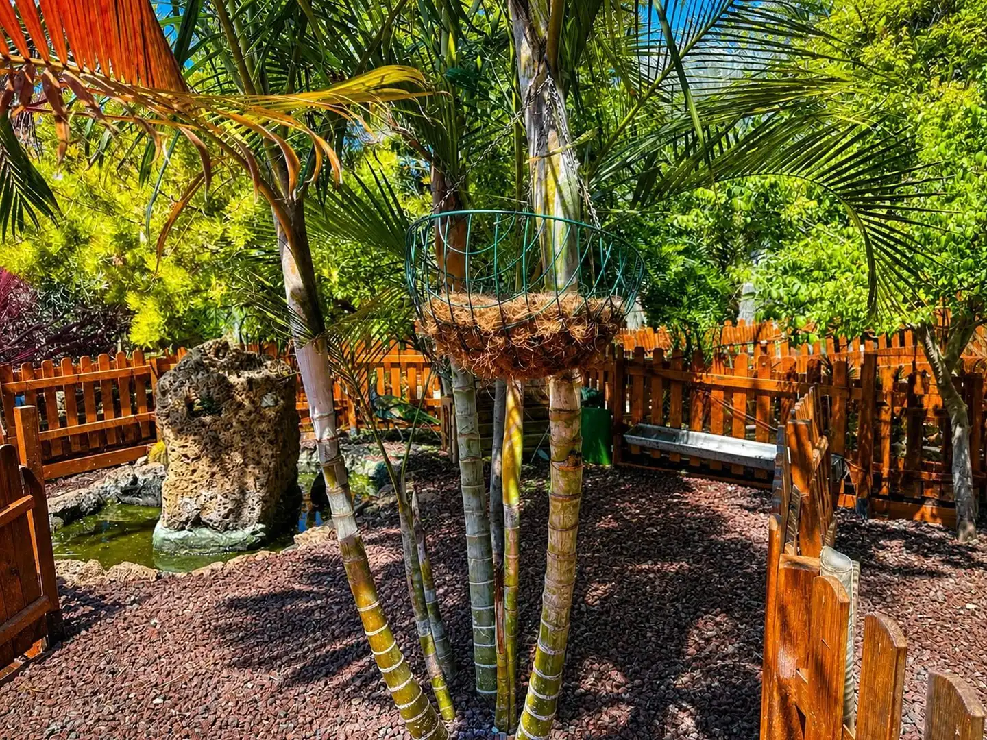 Jardí de Casa o xalet en venda en San Miguel de Abona amb Jardí privat, Traster i Piscina