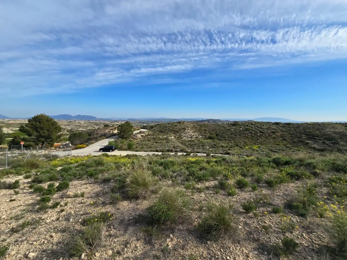 Terreno en venta en Molina de Segura