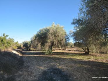 Rural land for sale in La Murada - Los Vicentes