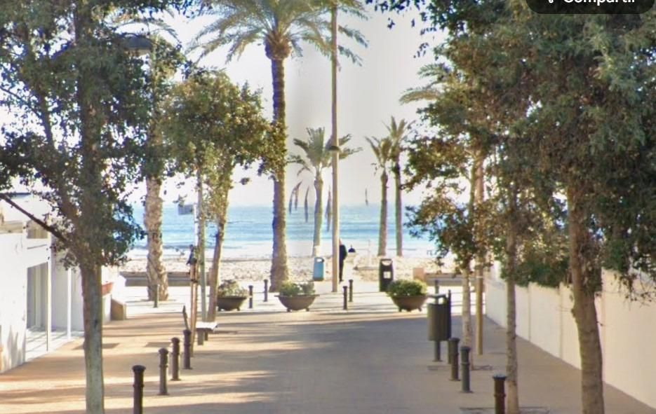 Exterior view of Flat to rent in Alicante / Alacant  with Terrace