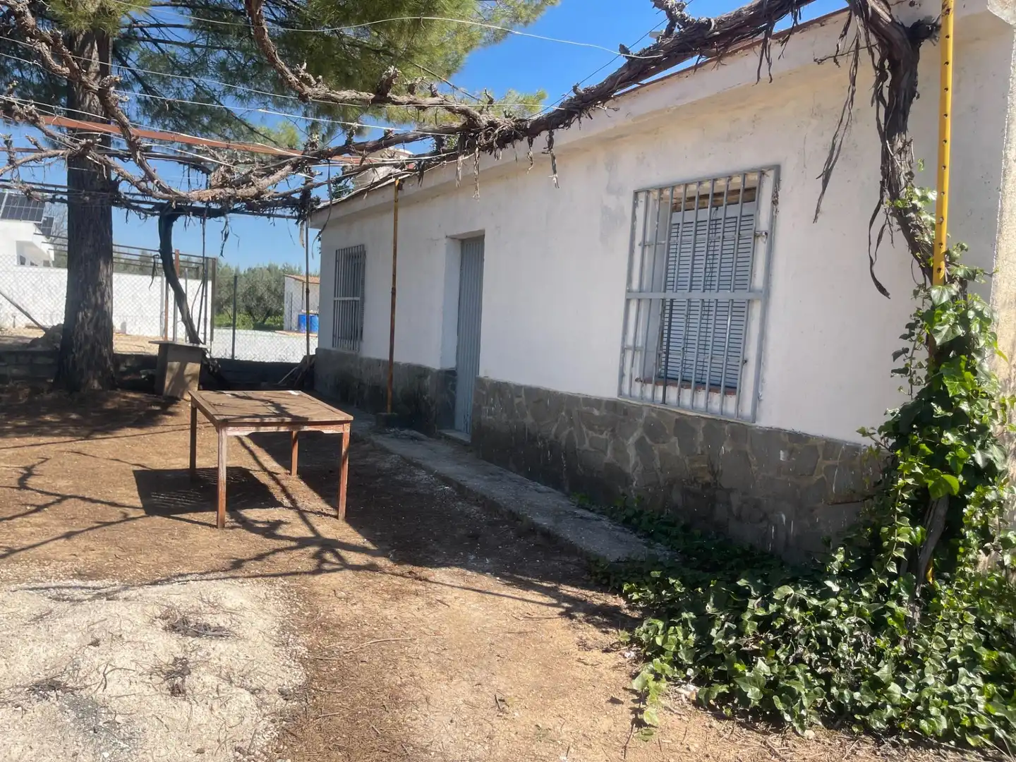 Vista exterior de Finca rústica en venda en Albolote amb Piscina