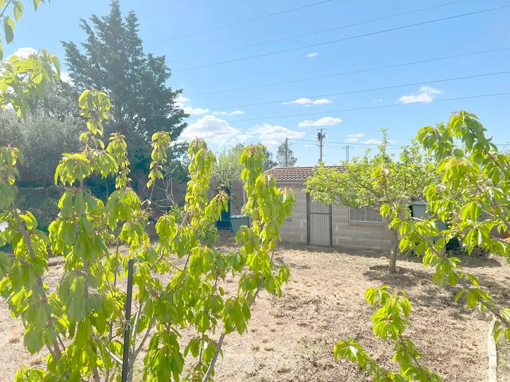 Casa o chalet en venta en Cabra del Camp con Terraza, Trastero y Amueblado