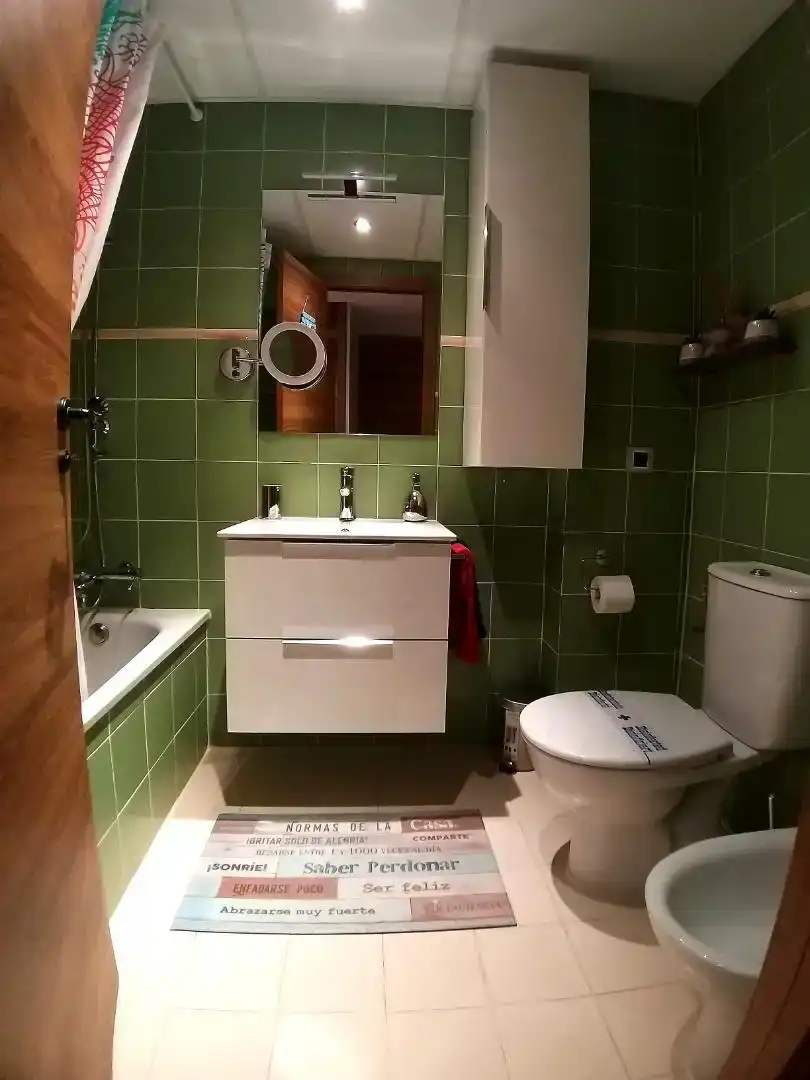 Bany de Apartament de lloguer en Alboraya amb Aire condicionat, Parquet i Moblat