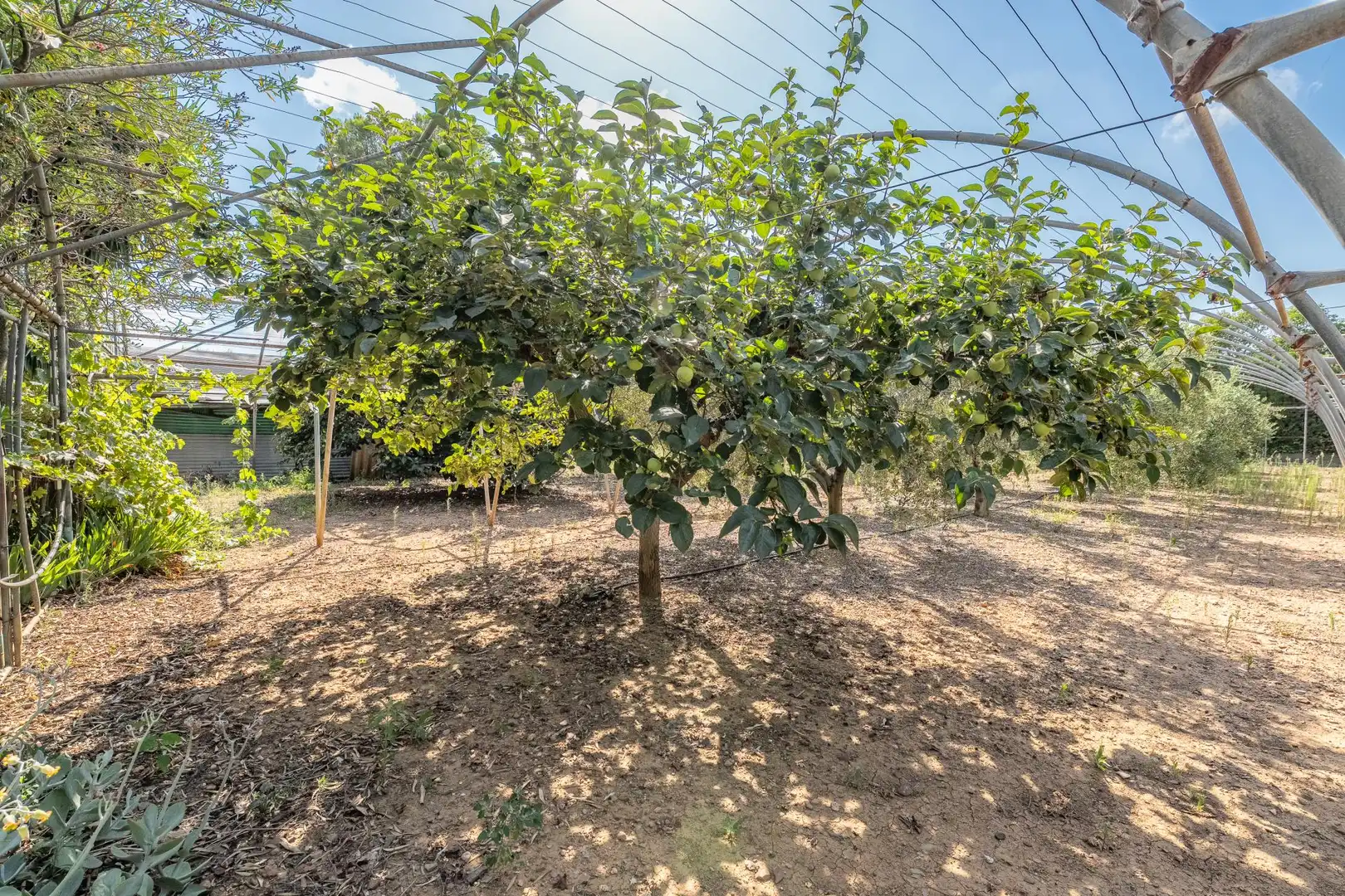 Finca rústica en venta en Riudoms con Calefacción y Jardín privado