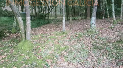 Foto 4 de Finca rústica en venda a Lugar Pedamua, Cerceda, A Coruña