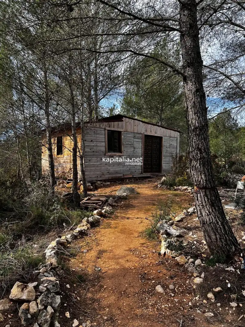 Terreny rústic en venda a L'Olleria, imagen 11