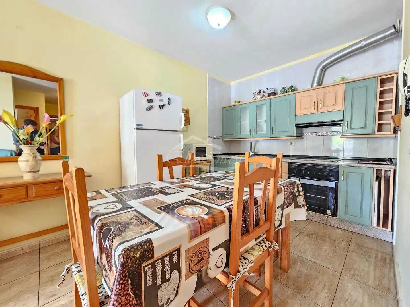 Kitchen of Flat for sale in Guía de Isora  with Terrace, Furnished and Oven
