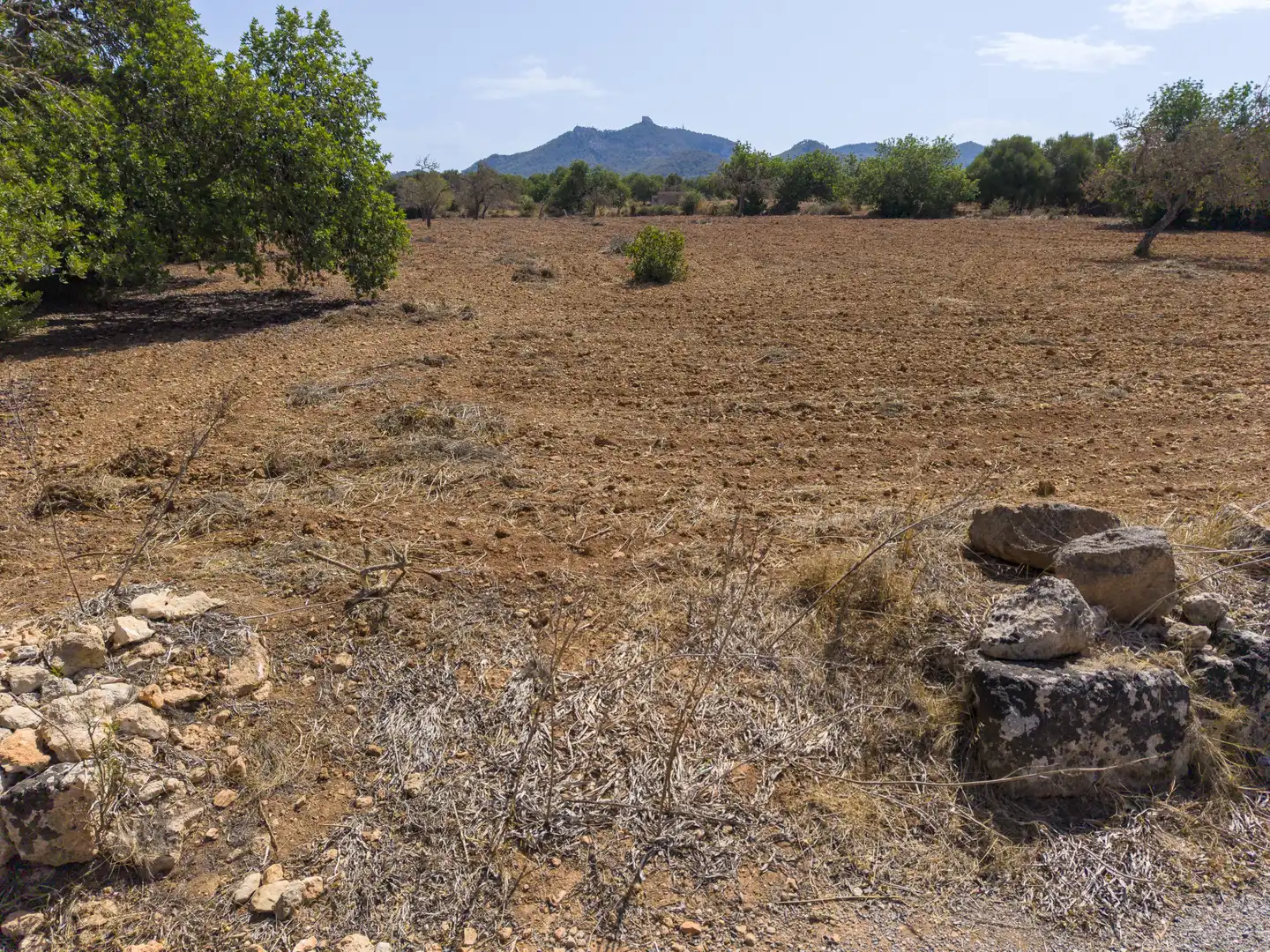 Lands and plots for sale in Felanitx Poble, imagen 7