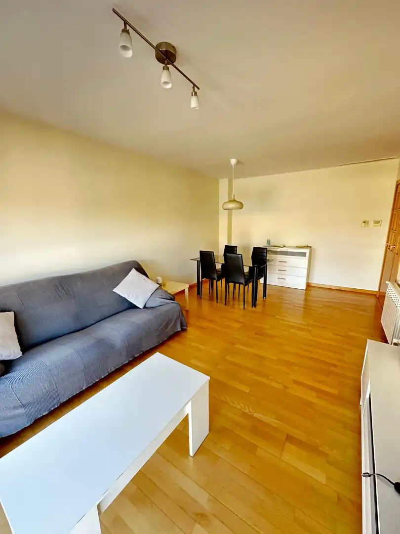 Living room of Flat for rent in Castellón de la Plana / Castelló de la Plana  with Air Conditioner, Heating and Furnished