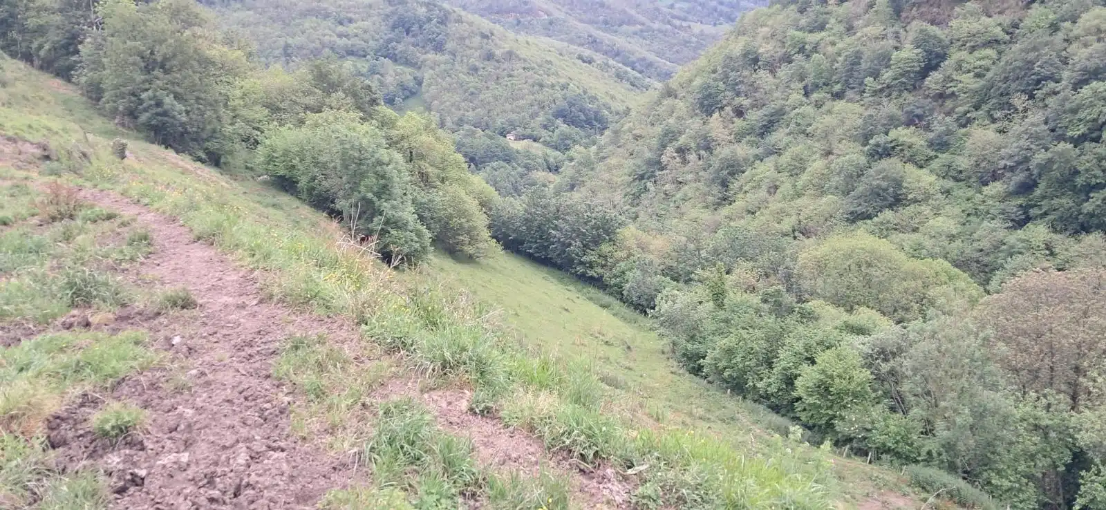 Lands and plots for sale in Lena, imagen 10