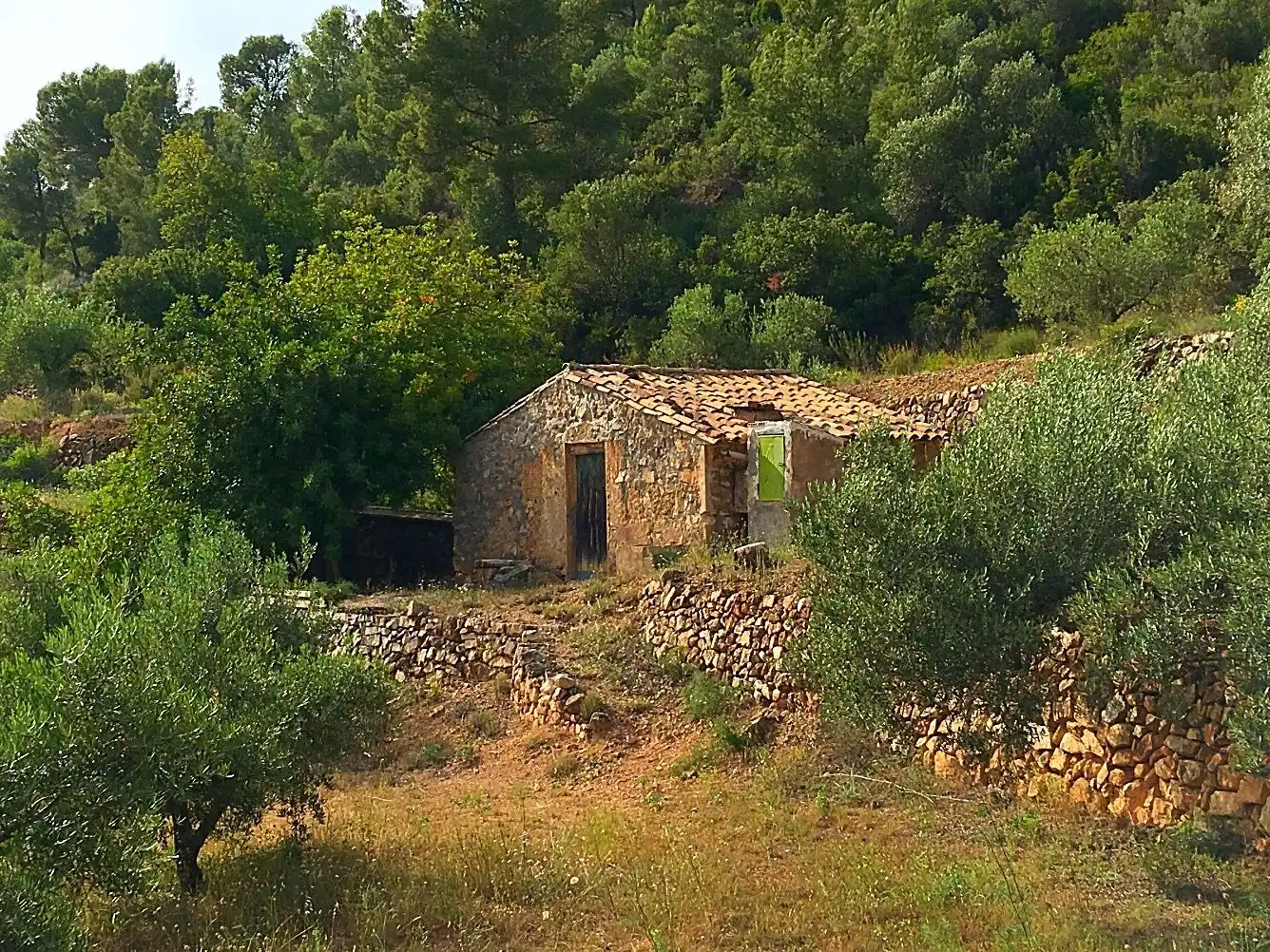 Country homes for sale in Benifallet