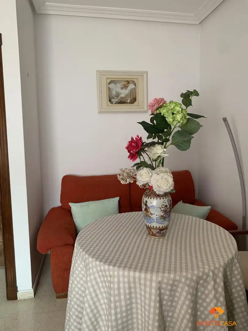 Living room of Duplexes for sale in Almendralejo