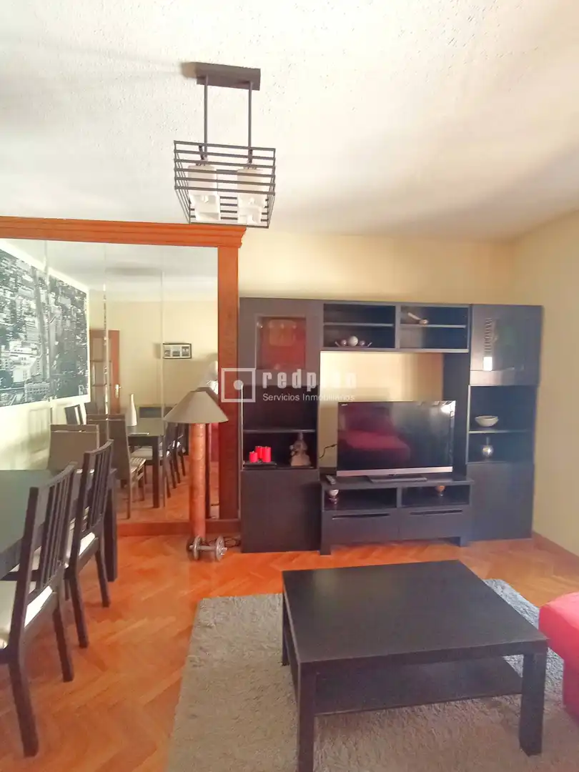 Sala d'estar de Apartament de lloguer en Madrid amb Aire condicionat, Parquet i Moblat