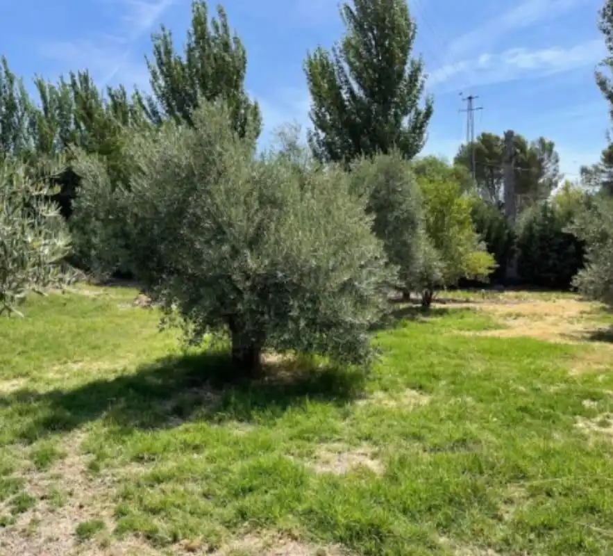 Terrenos y solares en venta en Úbeda, imagen 5