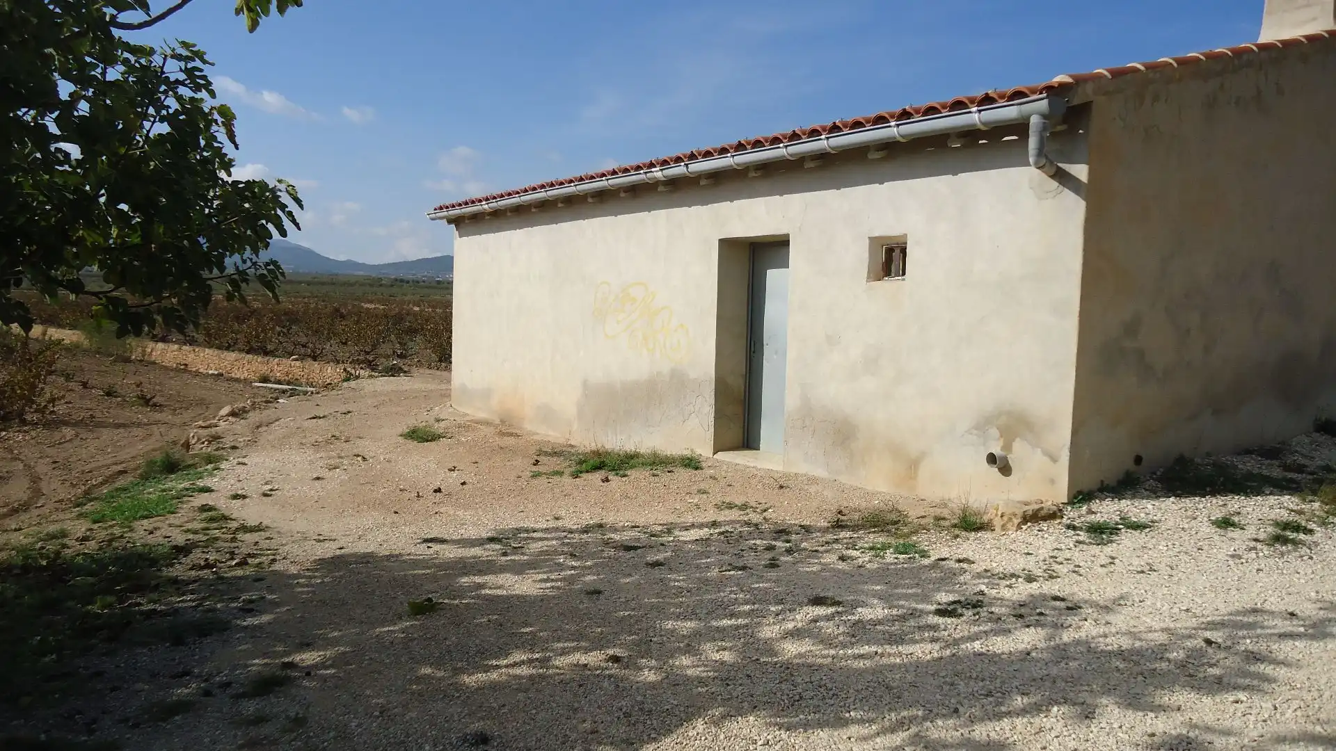 Terreno rústico en venta en El Pinós / Pinoso, imagen 2