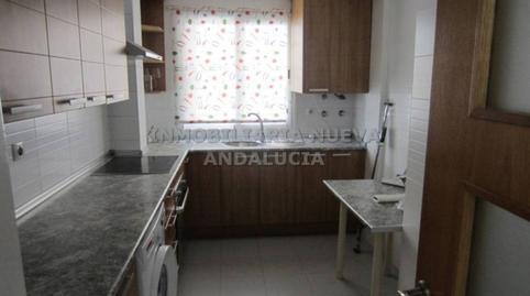 Photo 5 of Flat to rent in Barrio Alto - San Félix,  Almería Capital