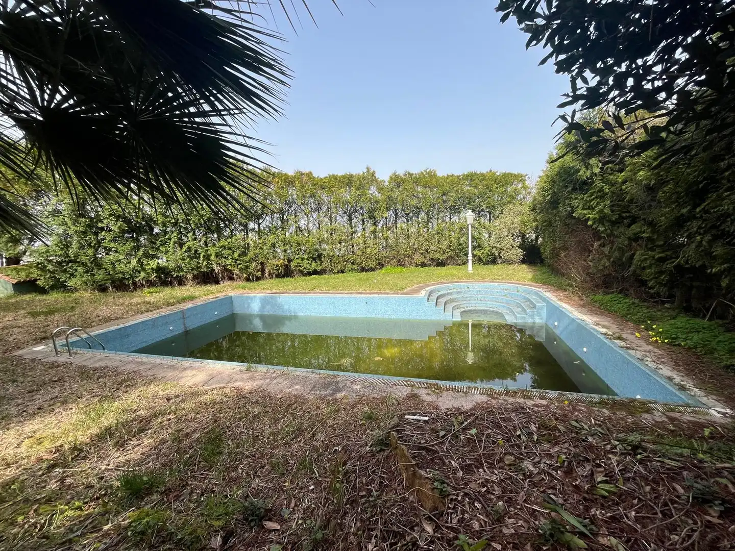 Swimming pool of Houses for sale in Vigo   with Private garden, Terrace and Swimming Pool
