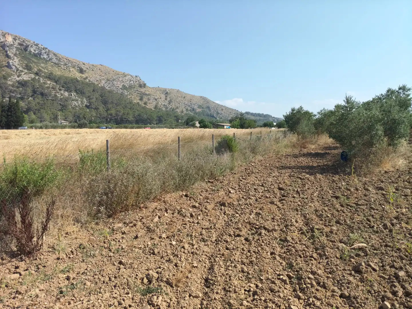 Rustikales Grundstück zum Verkauf in Ciutat d'Alcúdia, imagen 9