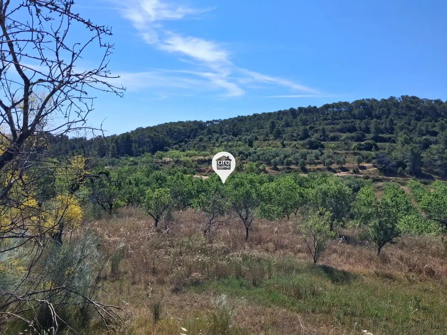 Land for sale in Madrid
