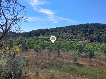 Terreno rústico en venta en El Pinell de Brai