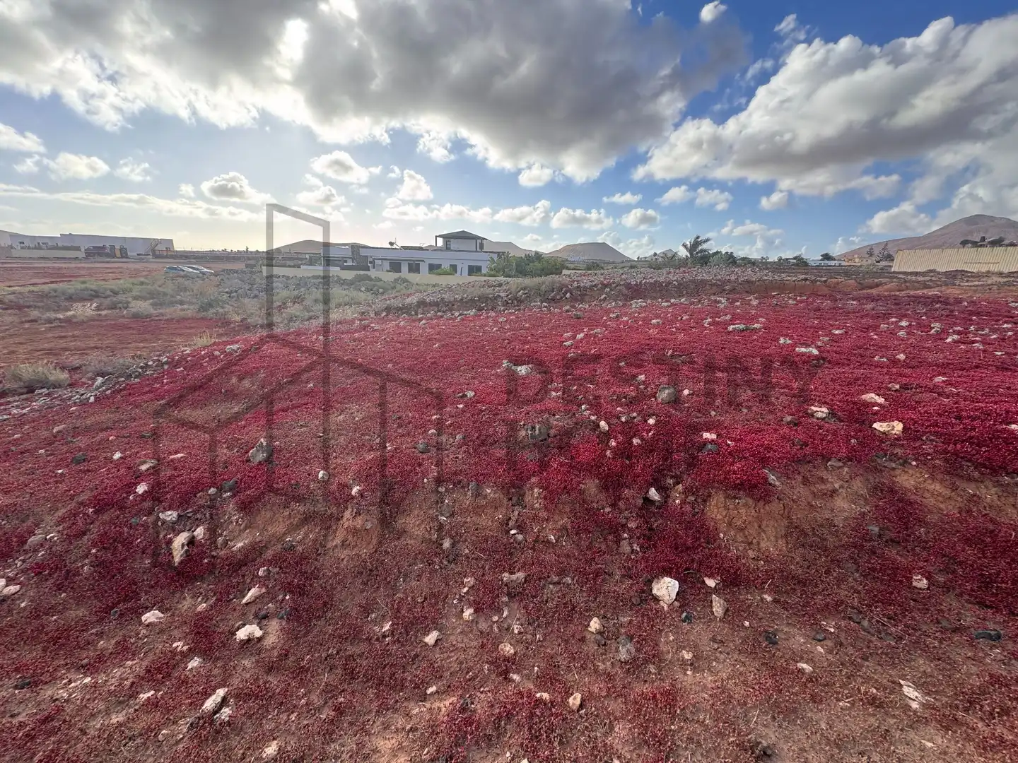 Terreno en venta en La Oliva