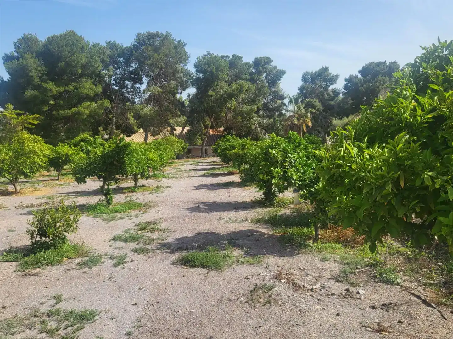 Finca rústica en venda en Águilas