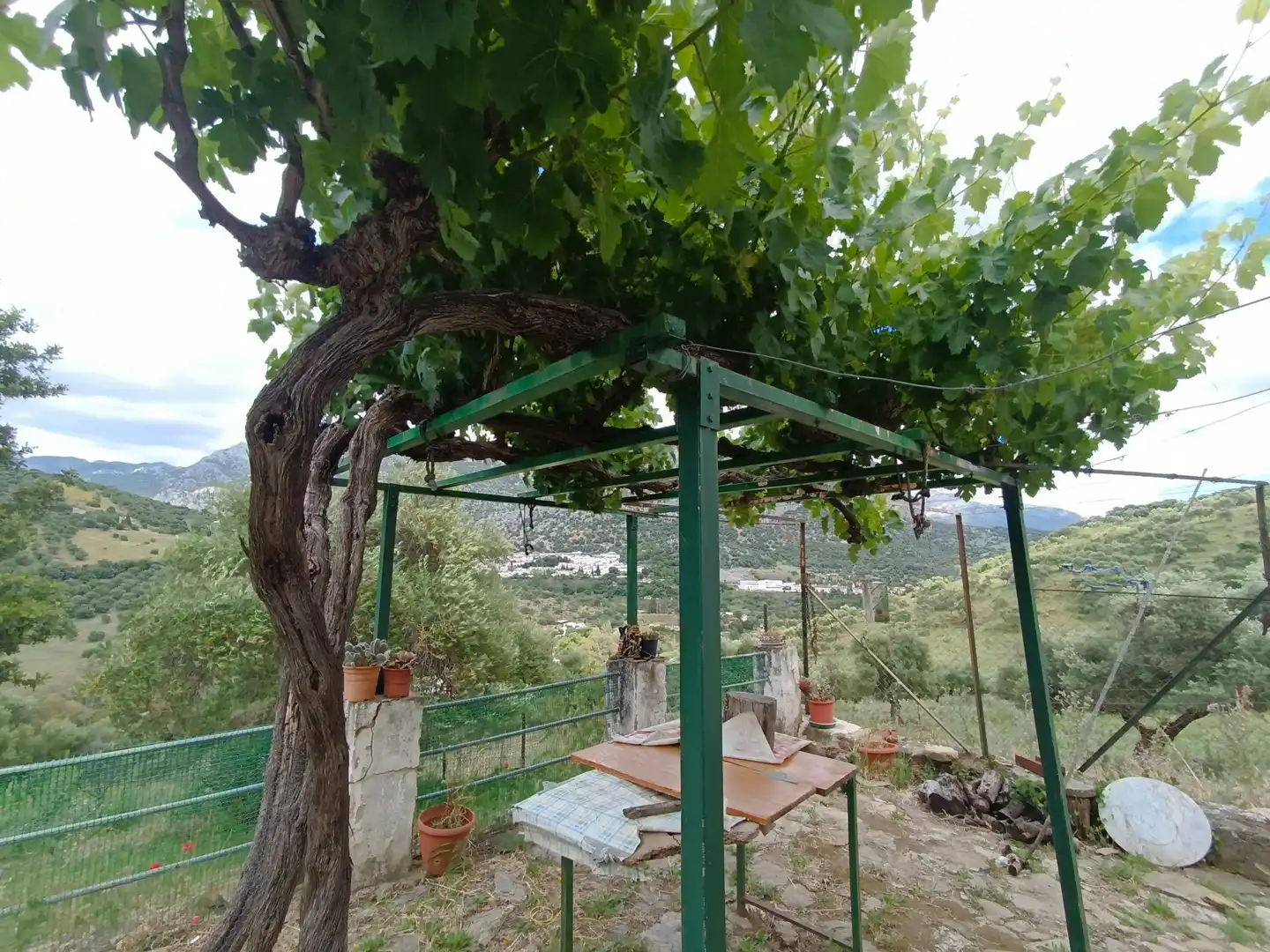 Garden of Residential for sale in Ubrique
