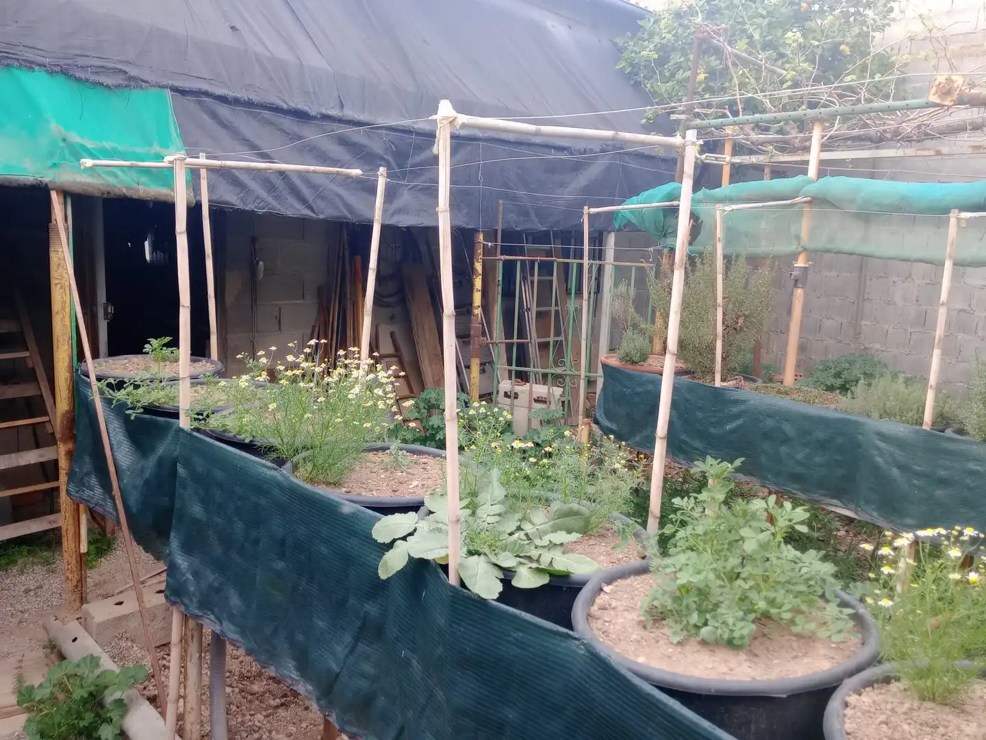 Casa en venda a Pinos Puente, imagen 10