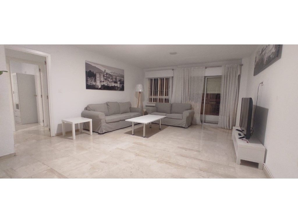 Living room of Flat to rent in  Granada Capital