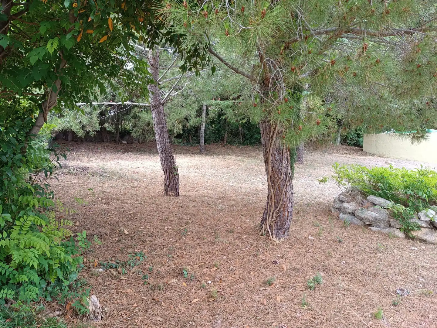 Terreno residencial en venta en Carrer Reus, imagen 6