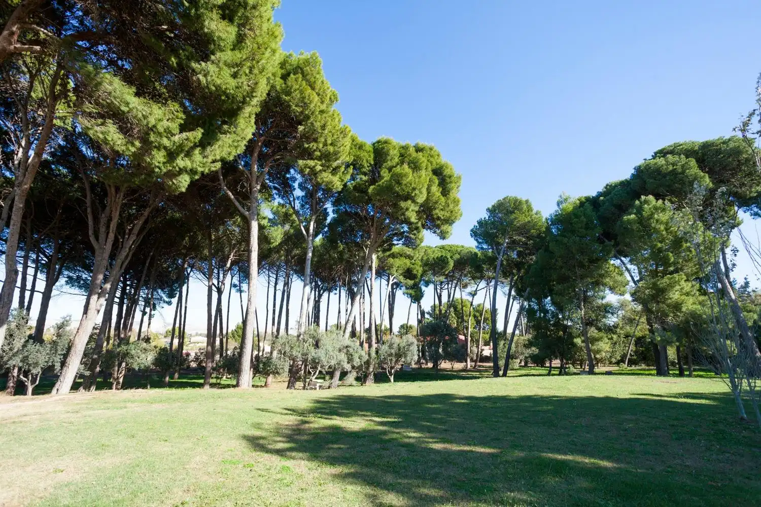 Garden of Houses for sale in Zaragoza  with Air Conditioner, Heating and Private garden