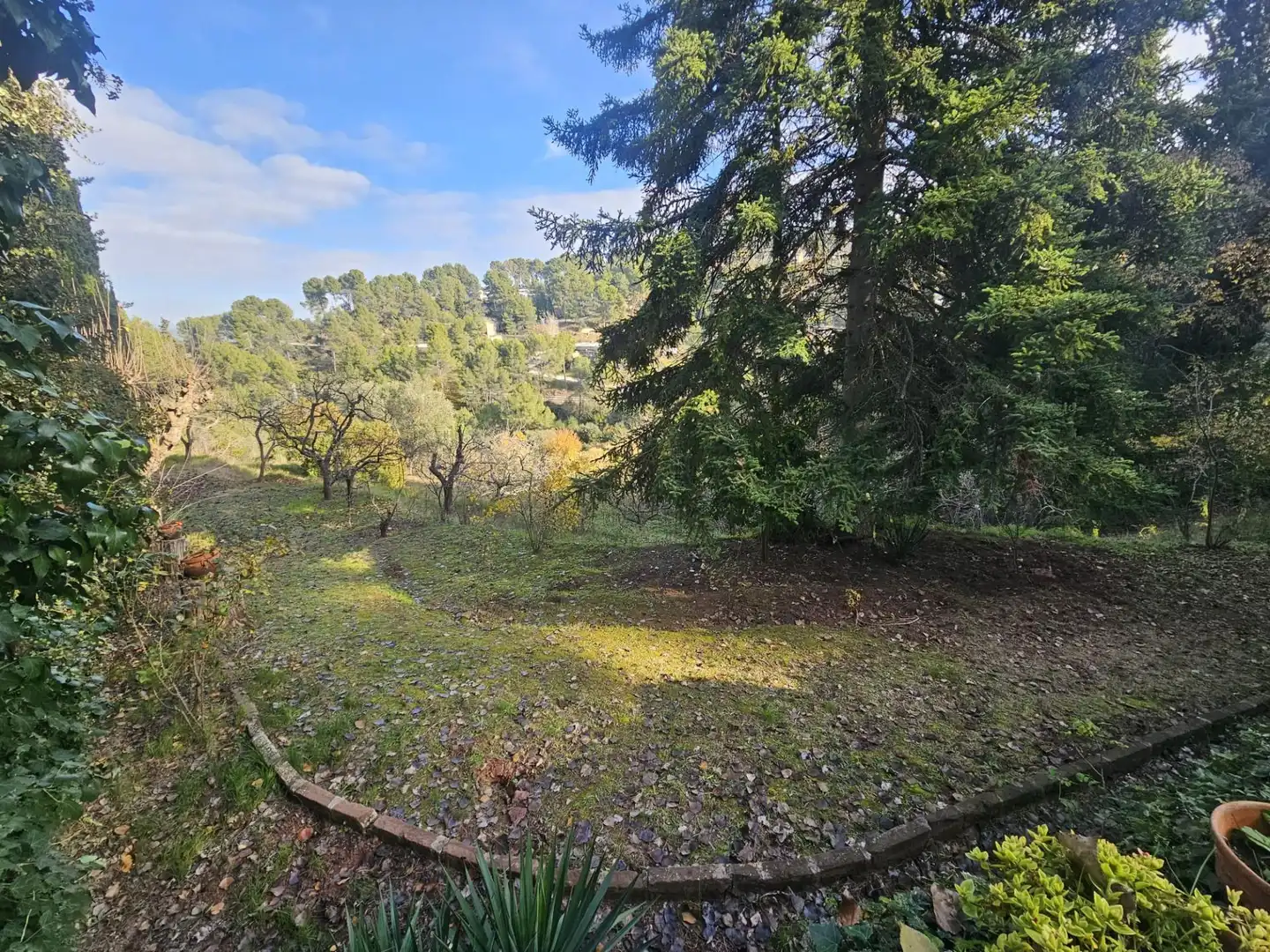 Finca rústica en venta en Castellví de Rosanes