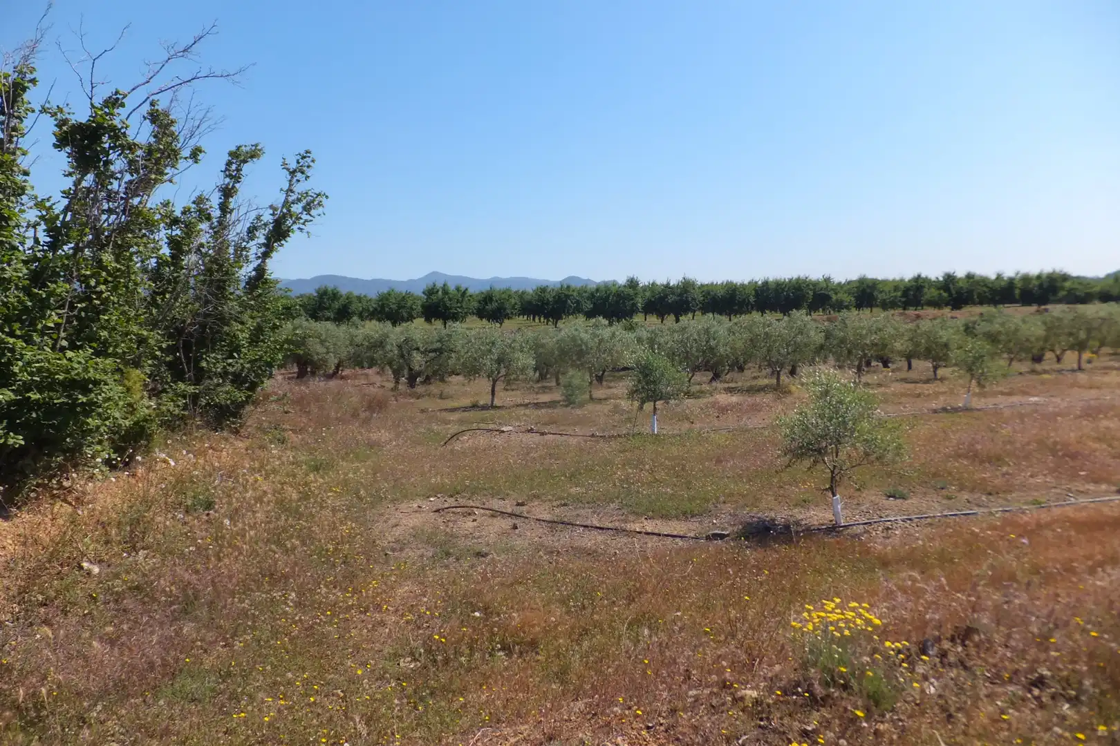 Terreno rústico en venta en Botarell, imagen 24