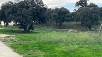 Residential for sale in Capmany