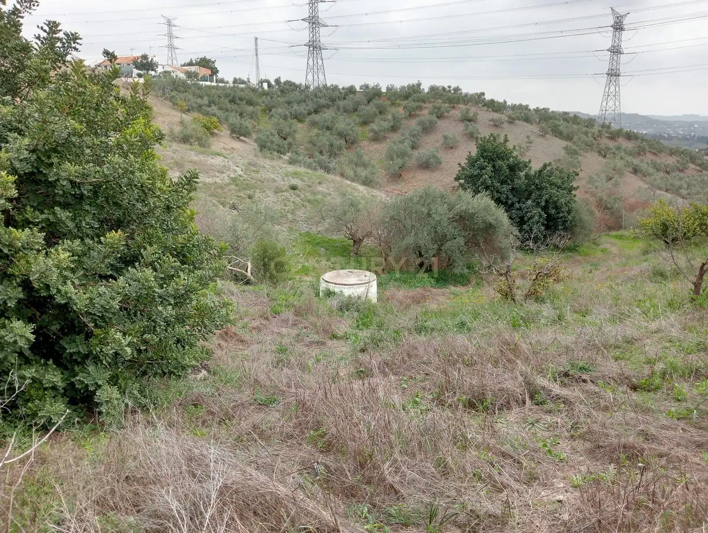 Casa o xalet en venda en Cártama amb Jardí privat, Traster i Piscina