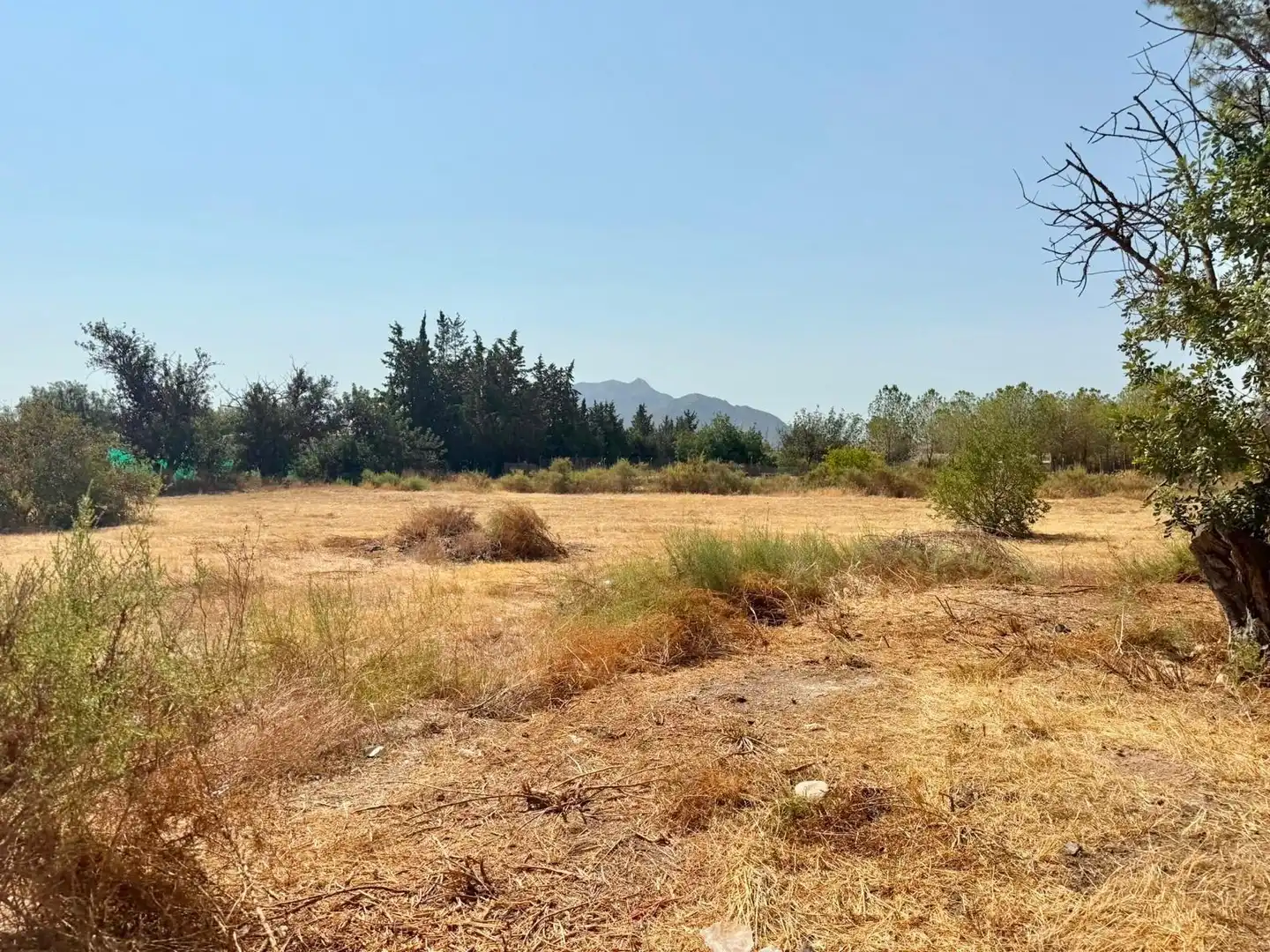 Terrenys i solars en venda a Barrio de los Campirulos 1, imagen 5