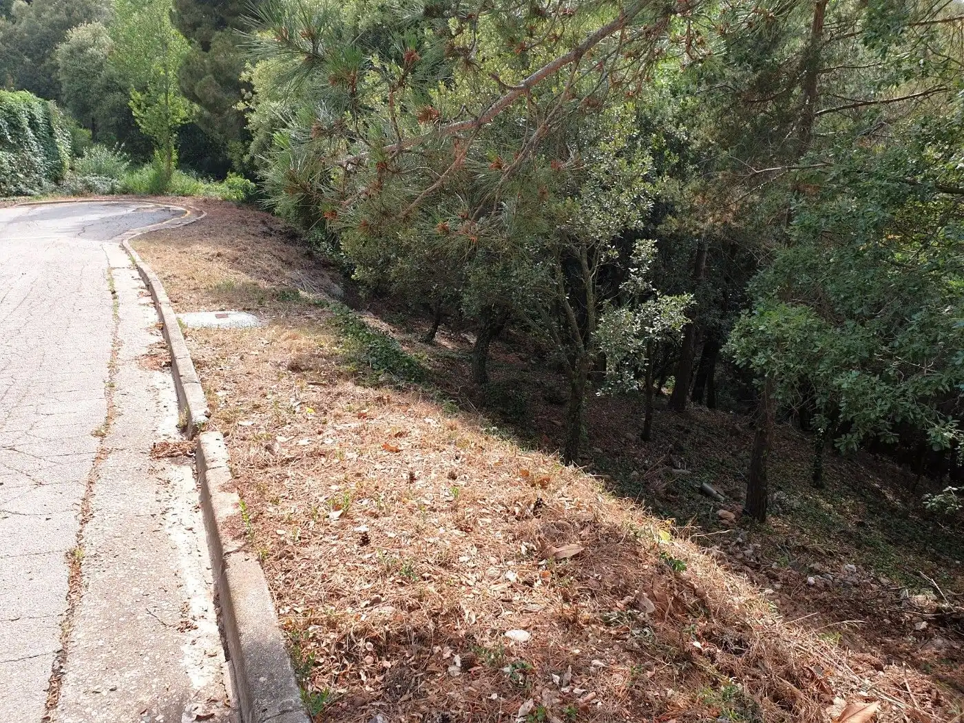 Terrain résidentiel à vendre à Matadepera, imagen 7