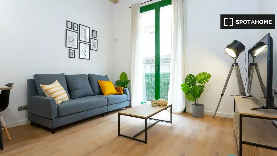 Appartamento con terrazza in affitto a Ciutat Vella