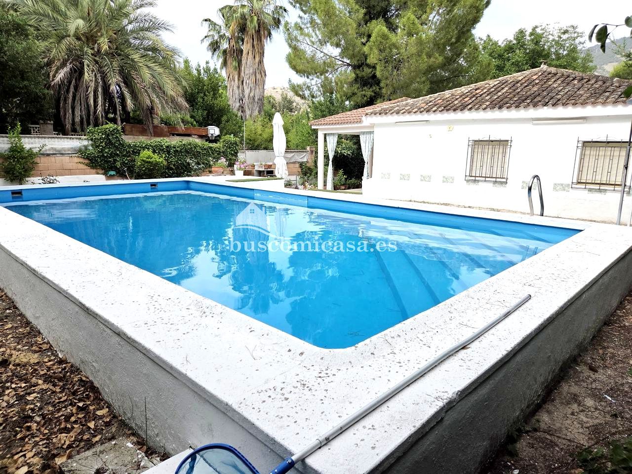 Piscina de Casa o xalet en venda en  Jaén Capital amb Jardí privat, Piscina i Moblat